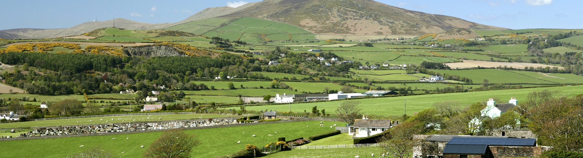 The Isle of Man Medicinal Cannabis Sector