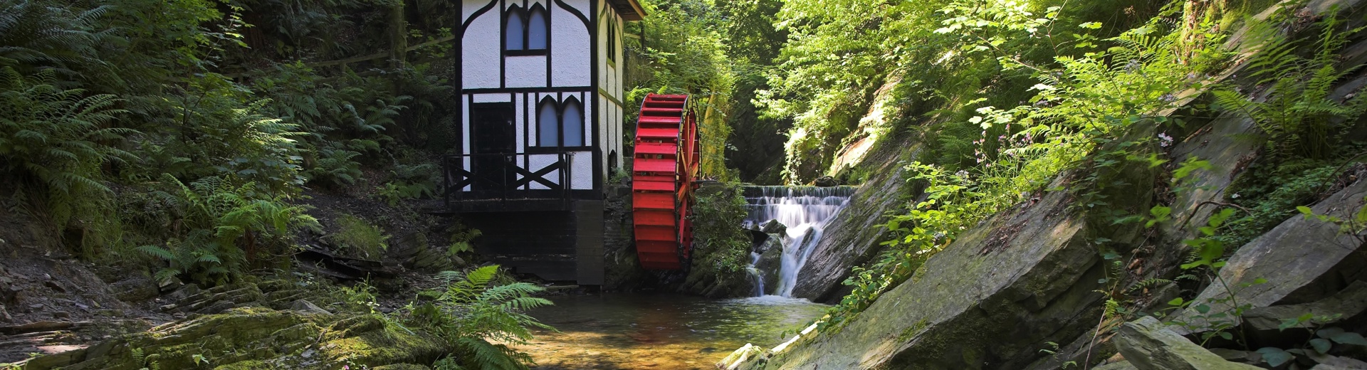 A red waterwheel by a white building in a leafy groudle glen on the isle of Man 