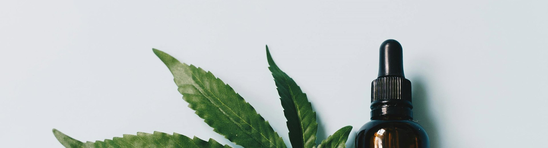 Cannabis plant and bottle of oil Sitting side by side on a wooden surface in an empty space