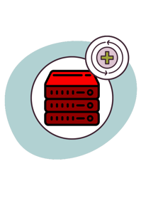 Disaster Recovery Server