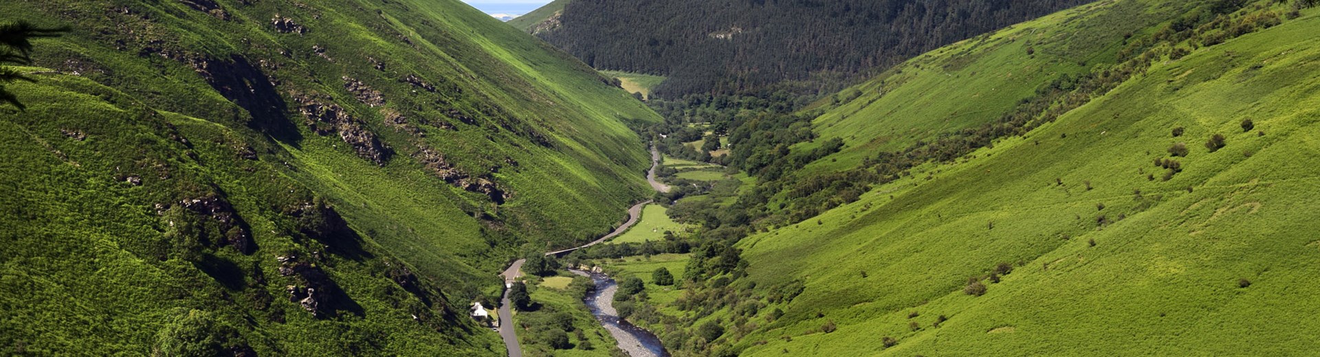 The Isle of Man Medicinal Cannabis Sector