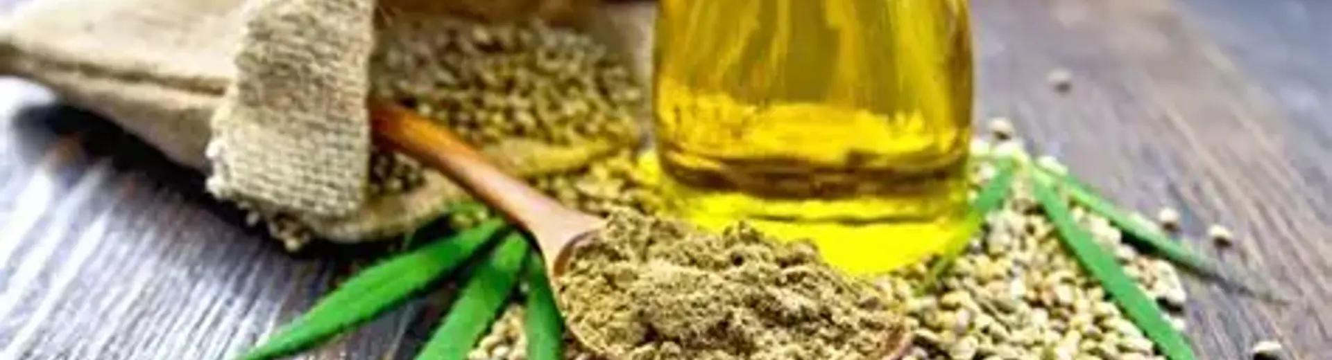 Cannabis plant being held up with a blue glove In dark surroundings