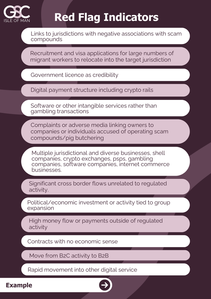 Red Flag Indicators: OCG Criminal Ownership Typology